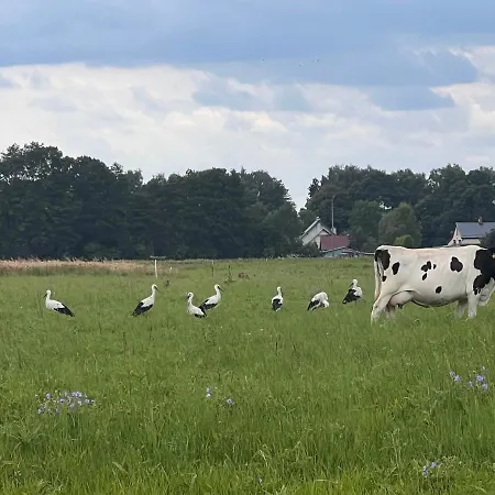 Villa Ledowohouse Industrial Own Golf Course, Kids Friendly Ledowo (Gdansk)