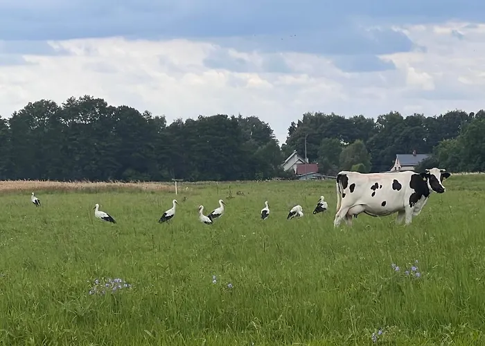 Villa Ledowohouse Industrial Own Golf Course, Kids Friendly Ledowo (Gdansk)