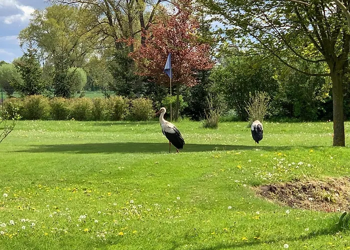 Ledowohouse Industrial Own Golf Course, Kids Friendly